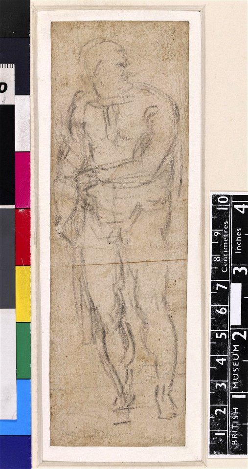 Michelangelo - Male Nude, standing, 1895,0915.513