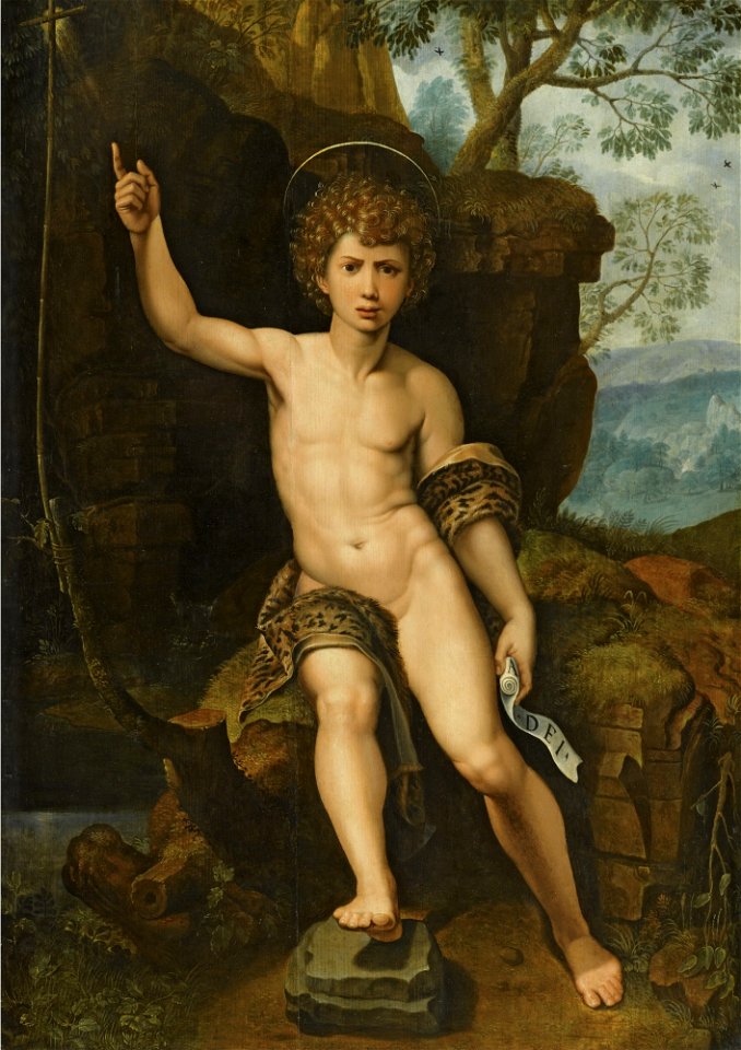 Michiel I Coxie - Saint John the Baptist in a rocky landscape