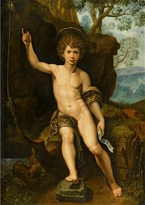 Michiel I Coxie - Saint John the Baptist in a rocky landscape