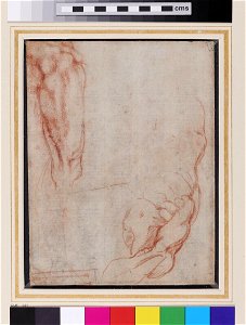 Michelangelo - Recto Studies of Anatomy, WA1846.60