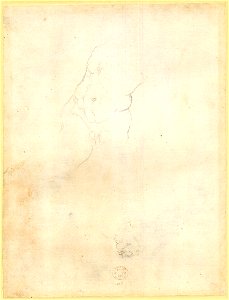 Michelangelo - Verso Sketches of a male torso and a head, 1859,0625.556