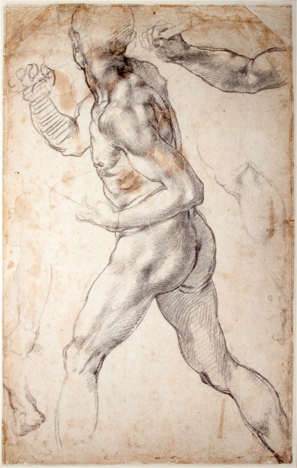 Michelangelo - Study of a striding male Nude