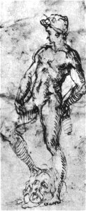 Michelangelo, studio per il david de rohan, louvre