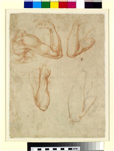 Michelangelo - Verso Study of arms, WA1846.55