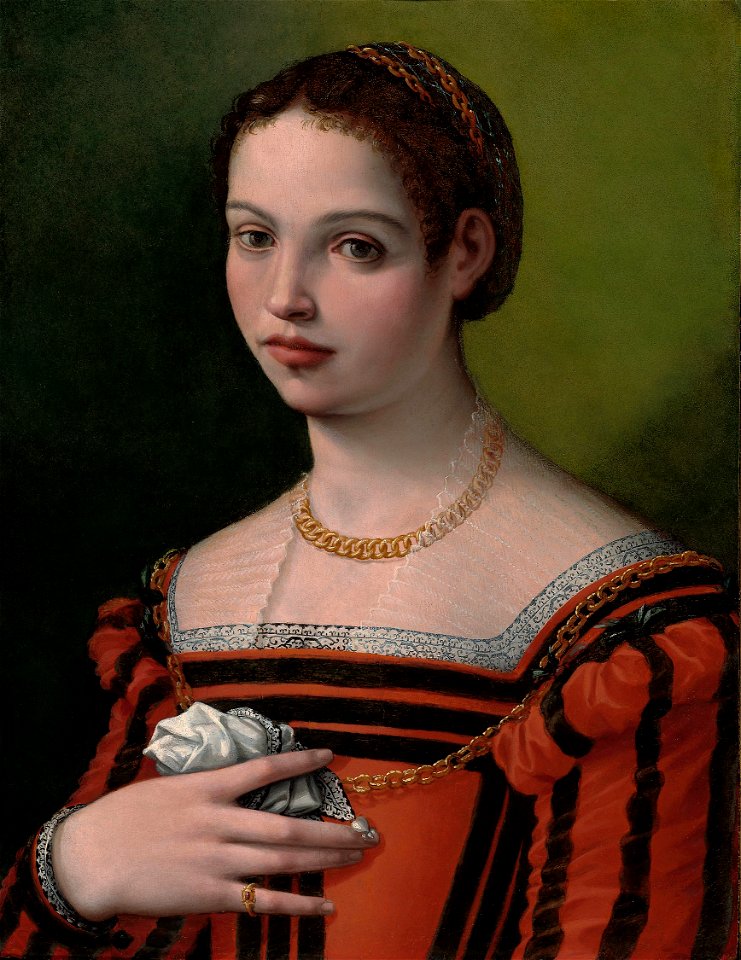 Michele Tosini, called Michele di Ridolfo - Portrait of a Lady - 1937.459 - Art Institute of Chicago