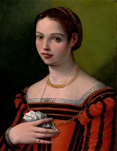 Michele Tosini, called Michele di Ridolfo - Portrait of a Lady - 1937.459 - Art Institute of Chicago