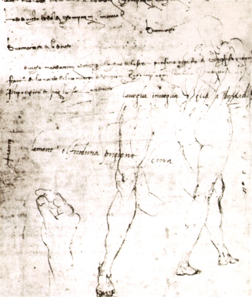 Michelangelo, folio 3, Vol.II,3 casa buonarroti