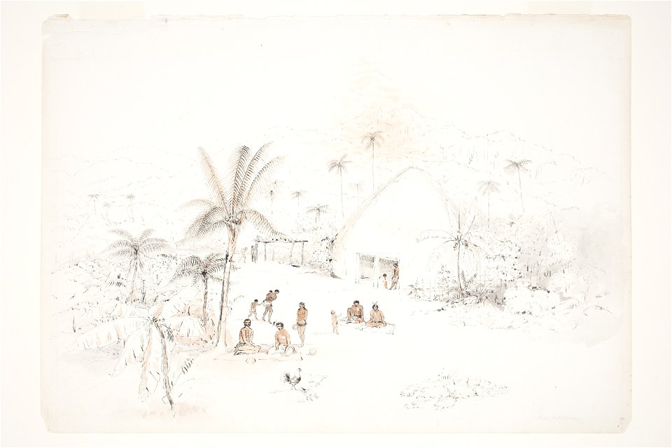 New Caledonia by Charles Heaphy