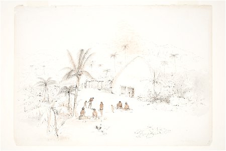 New Caledonia by Charles Heaphy