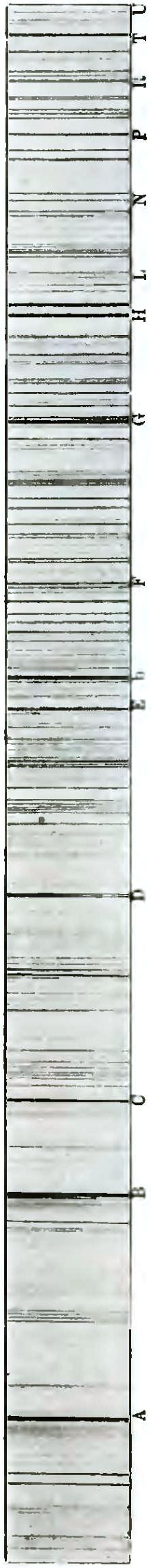 Michelson Light waves and their uses fig054