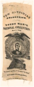 New Hampshire delegation. Young Men's National Convention LCCN2003689263