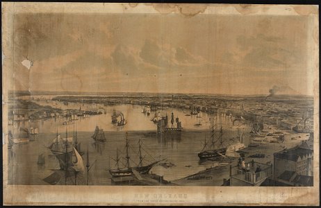 New Orleans from the lower cotton press 1852 - J.W. Hill & Smith, del. ; drawn on stone by D.W. Moody. LCCN93500132