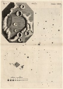 Micrographia Schem 38