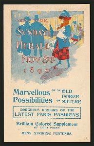 New York Sunday Herald Nov - 8th 1896. LCCN2015648039