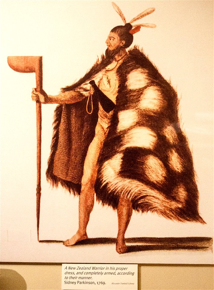 New Zeland Warrior - drawing of Sidney Parkinson