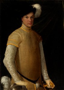Niccolò dell' Abbate - Ritratto di un giovane uomo che indossa un cappello piumato etc