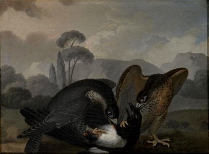 Nicasius Bernaerts - Two birds of prey slaying a magpie