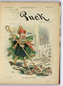New York's St. Patrick - F. Opper. LCCN2012648614