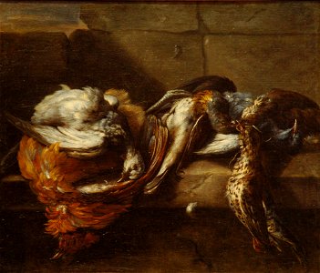 Nicasius Bernaerts - Gibier de plumes