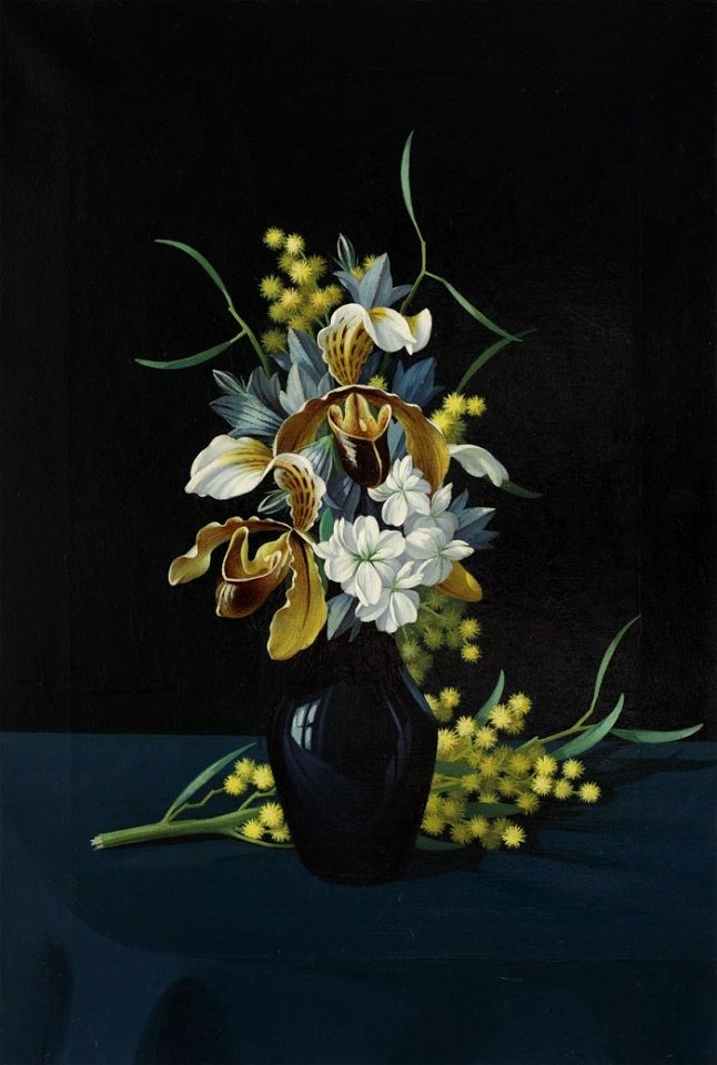 Mihail Stefanescu - Irisi si mimoze