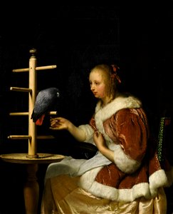 Mieris 1, Frans van - A Young Woman in a Red Jacket Feeding a Parrot - 1663. Free illustration for personal and commercial use.