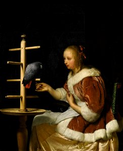 Mieris 1, Frans van - A Young Woman in a Red Jacket Feeding a Parrot - 1663
