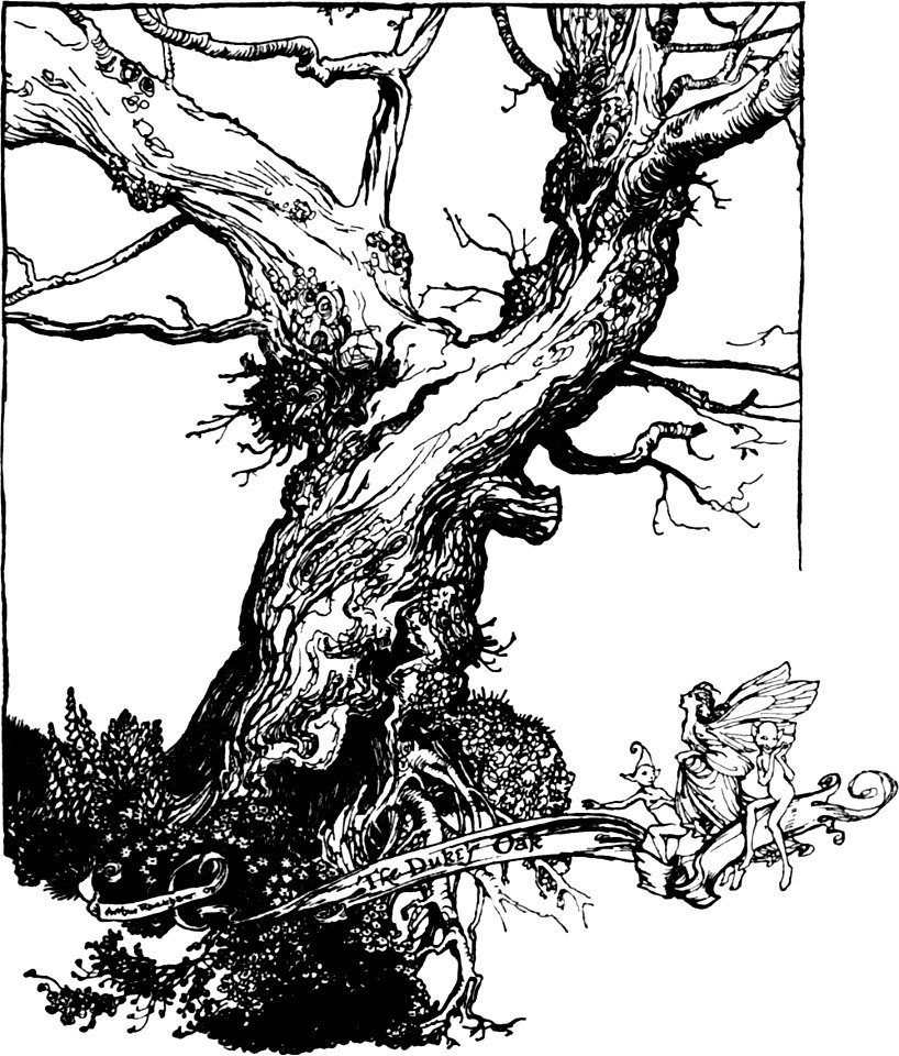 Midsummer-Nights Dream-Rackham-049