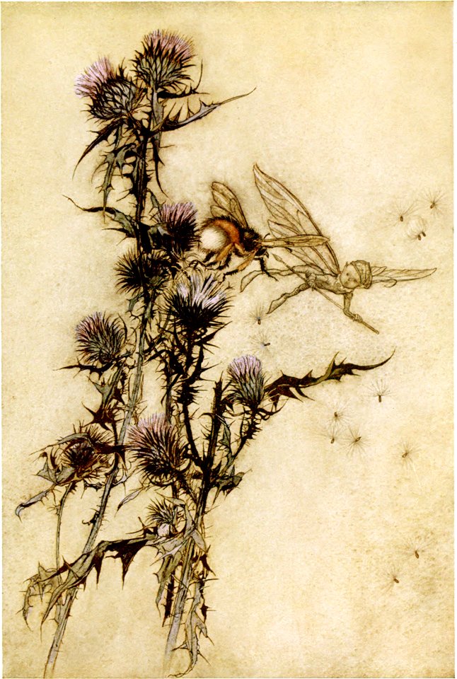 Midsummer-Nights Dream-Rackham-151