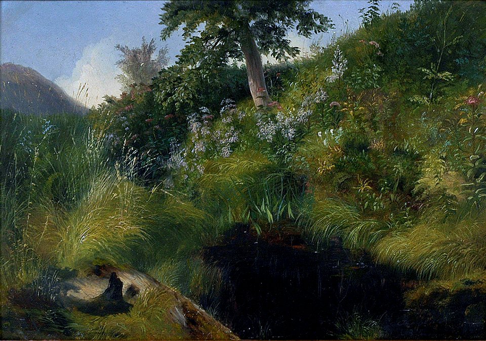 'The Old Bog Hole' by Louis Rémy Mignot, 1856