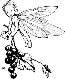 Midsummer-Nights Dream-Rackham-115