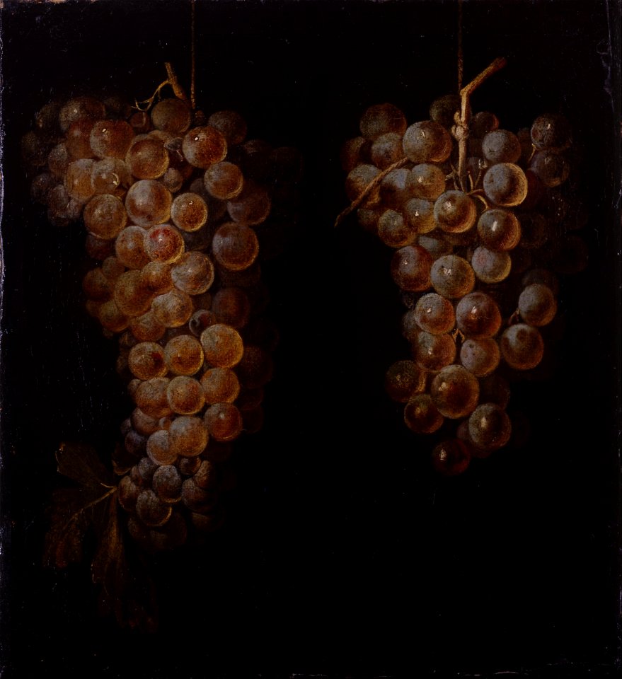 Miguel de Pret - Bunches of Grapes - Google Art Project
