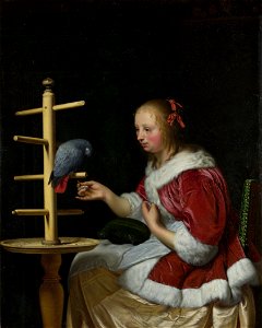 Mieris 1, Frans van - A Young Woman in a Red Jacket Feeding a Parrot - National Gallery. Free illustration for personal and commercial use.