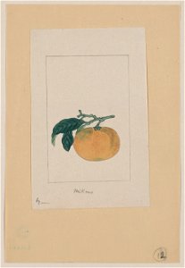 Mikan LCCN2009630261