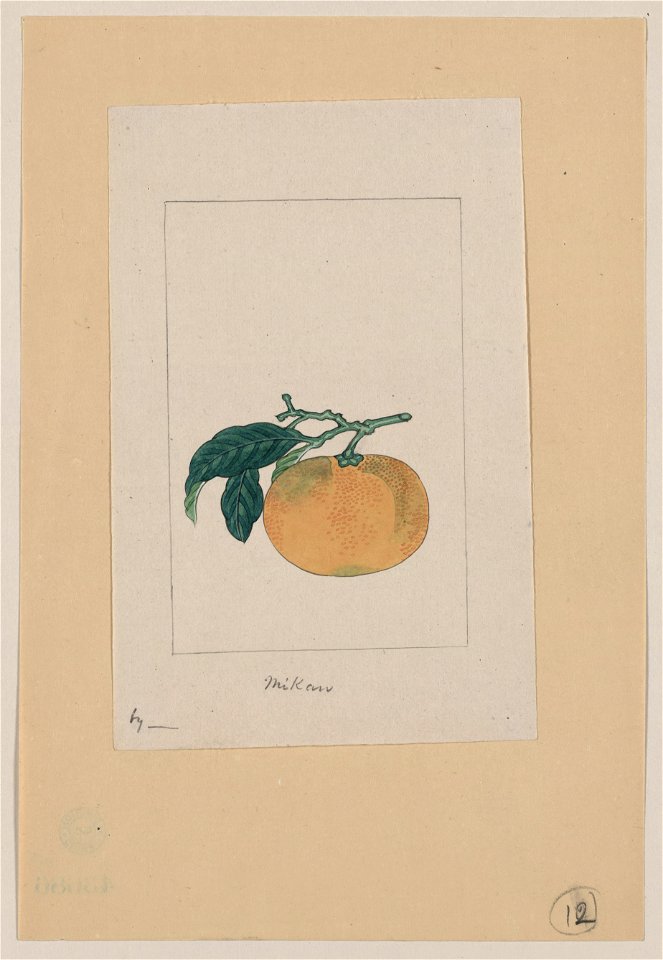 Mikan LCCN2009630261