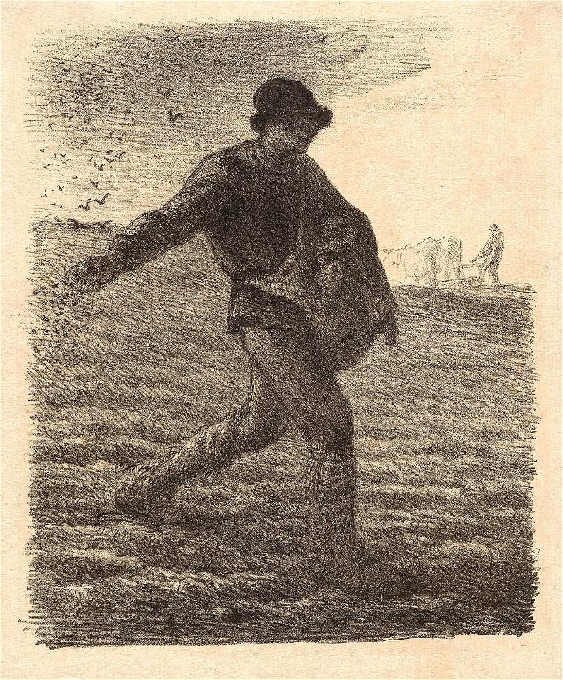 Millet - The Sower, M20606
