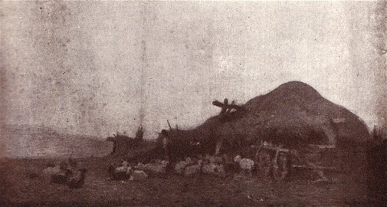 Nicolae Grigorescu - Tarla in Baragan