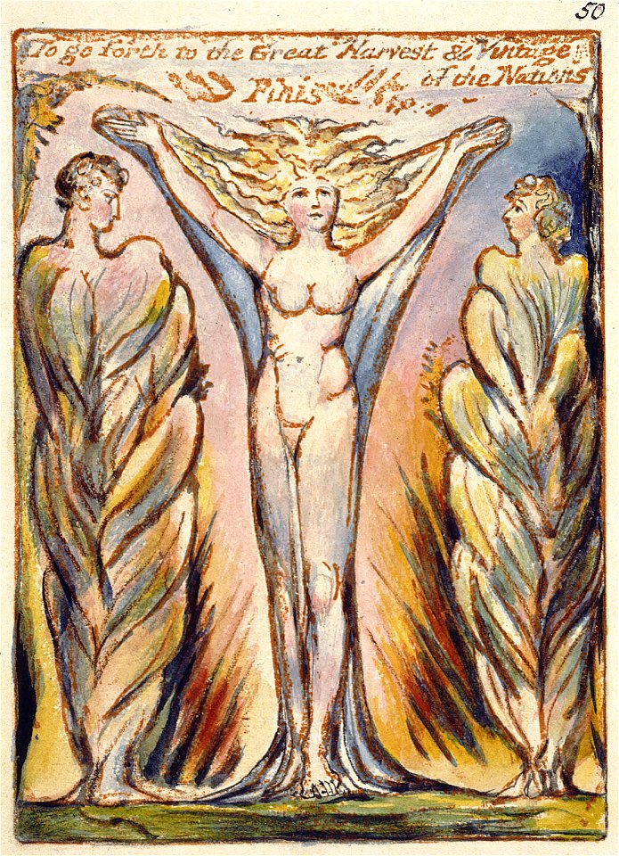 Milton a Poem, copy D, object 50 (Bentley 45, Erdman 43 50, Keynes 45)