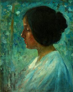 Nicolae Vermont - Visare