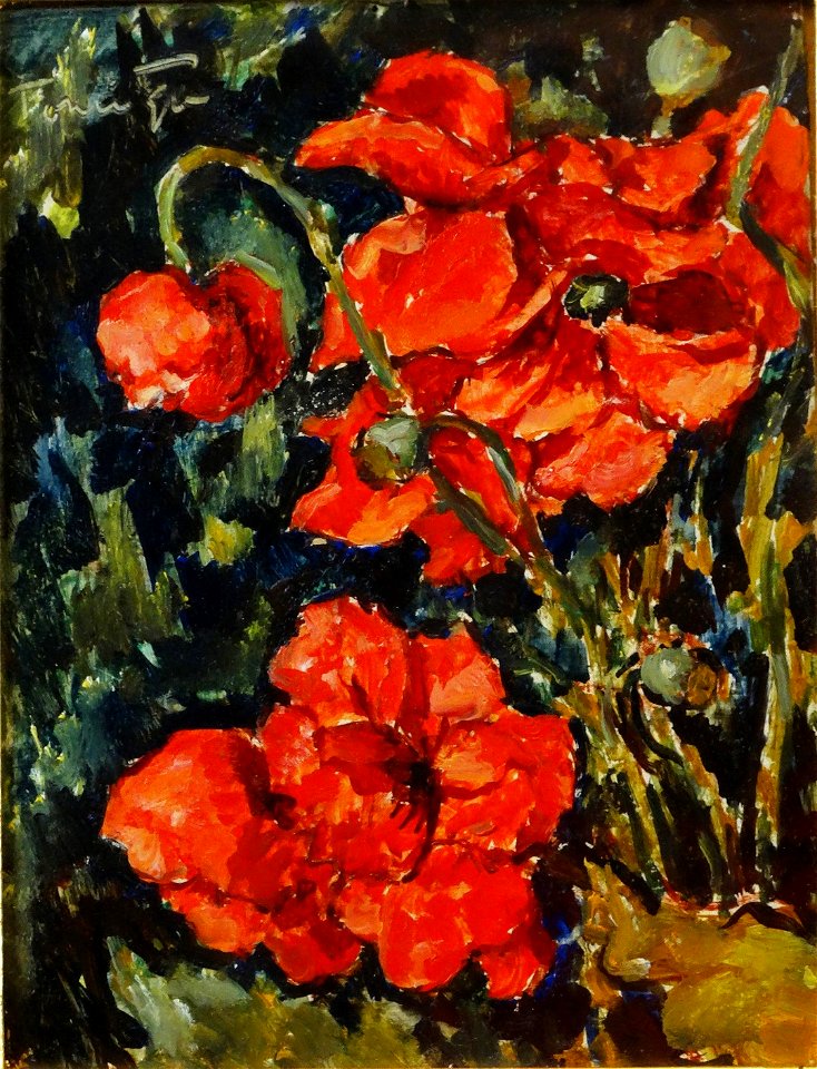 Nicolae Tonitza - Maci