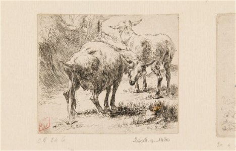 Nicolaes Berchem - Pissing Goat