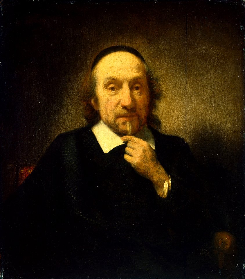 Nicolaes Maes - Portrait of a Man - 1925.716 - Art Institute of Chicago