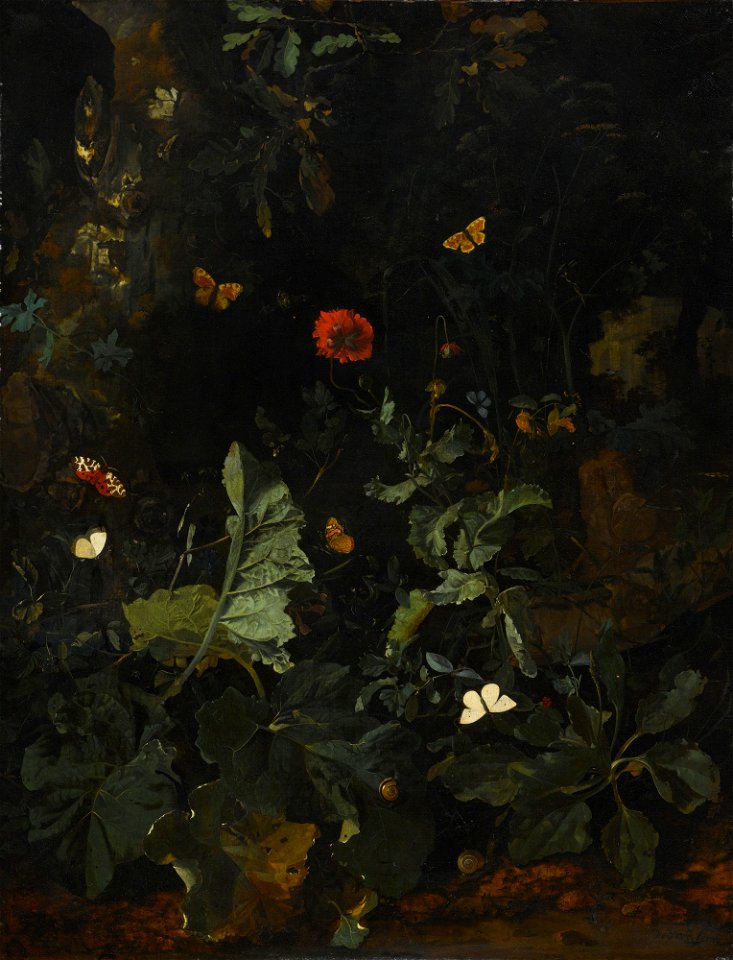 Nicolaes de Vree A Forest Floor Still Life with Flowering Plants and Butterflies