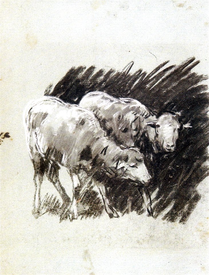 Nicolae Grigorescu - Studiu de oi