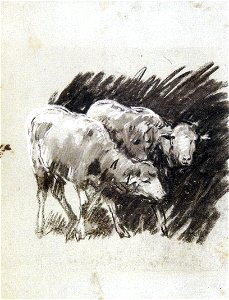 Nicolae Grigorescu - Studiu de oi