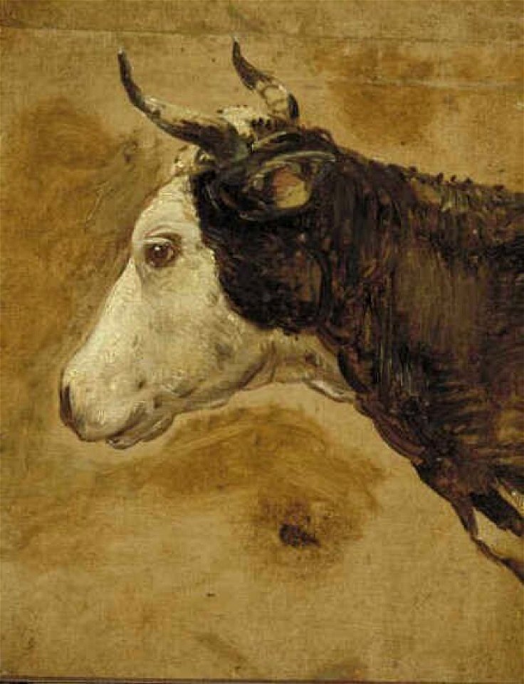 Nicolaes Pietersz. Berchem - Koeienkop - 1136 (OK) - Museum Boijmans Van Beuningen
