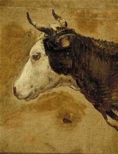Nicolaes Pietersz. Berchem - Koeienkop - 1136 (OK) - Museum Boijmans Van Beuningen
