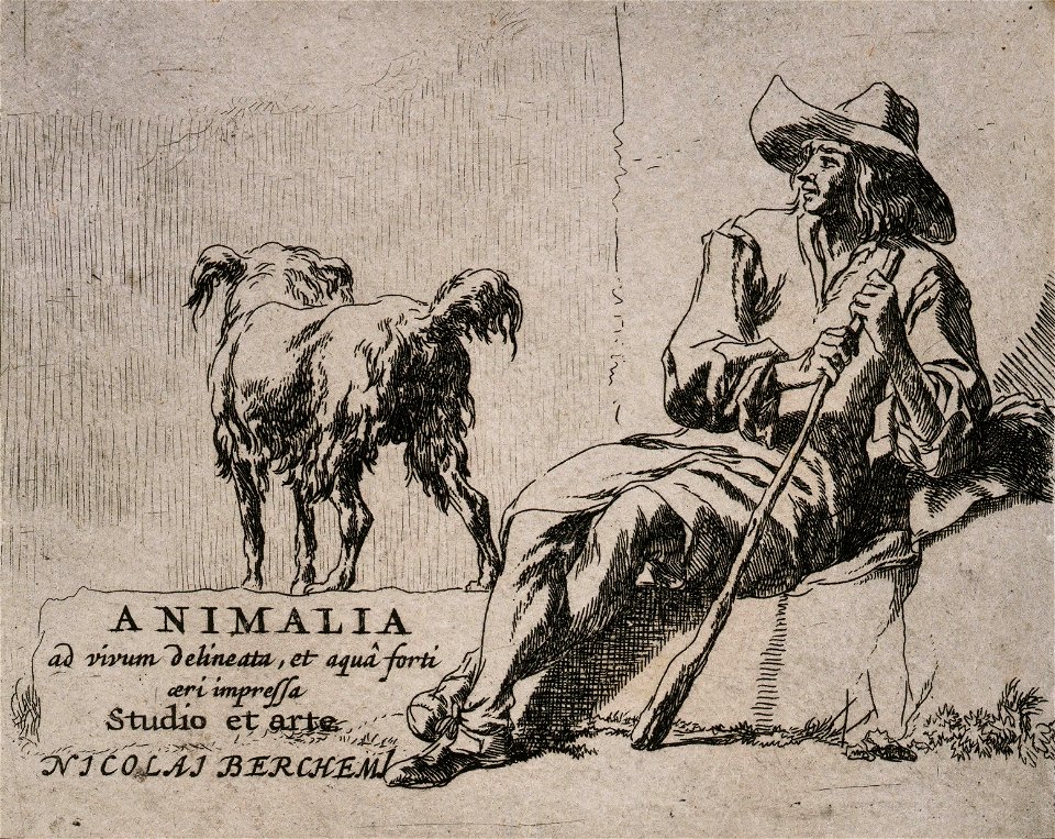 Nicolaes Berchem - Animalia
