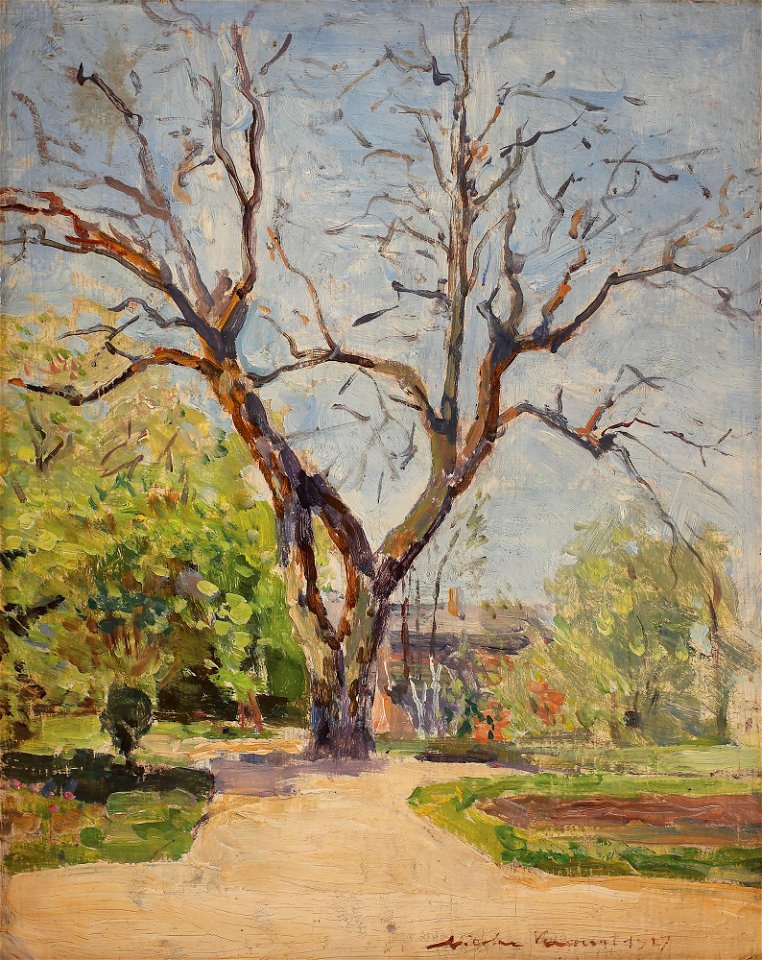 Nicolae Vermont - Gradinile Tuileries