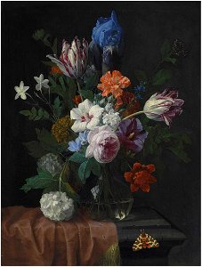 Nicolaes van Veerendael - Hibiscus, parrot tulips, carnations, a rose, an iris, snowballs and other flowers in a vase on a partially draped stone ledge, with a garden tiger moth. Free illustration for personal and commercial use.