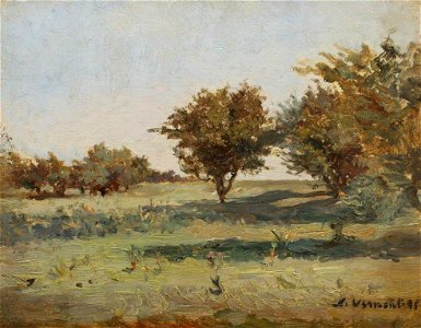 Nicolae Vermont - Zi de vara